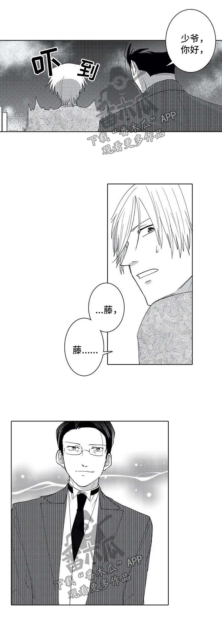 贴身男秘全本完整小说漫画,第36章：第一任执事3图