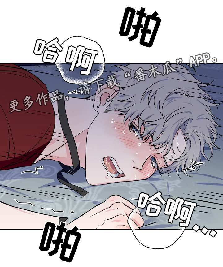 浪漫练习生漫画,第41章：我可以3图