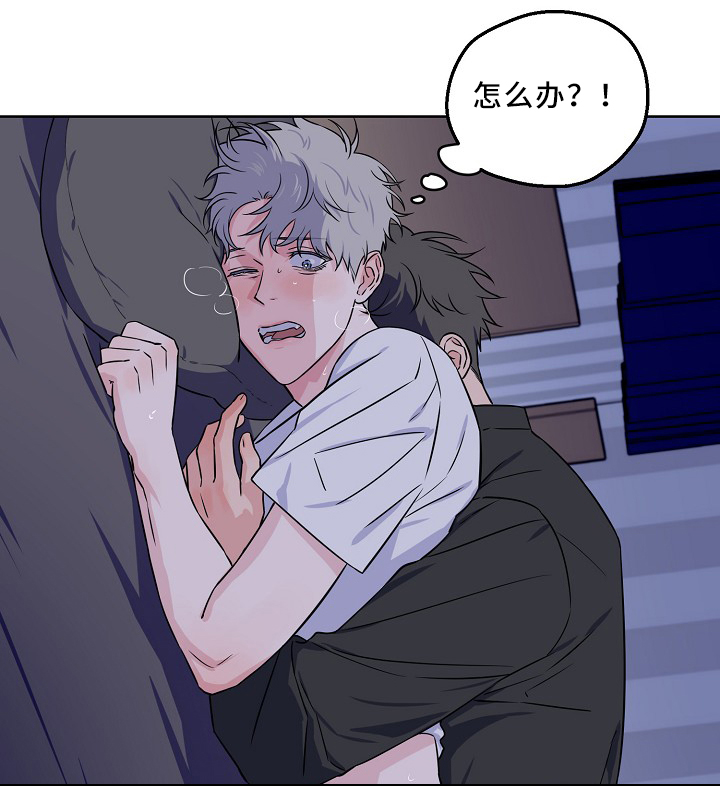浪漫练习生漫画,第39章：怎么办3图