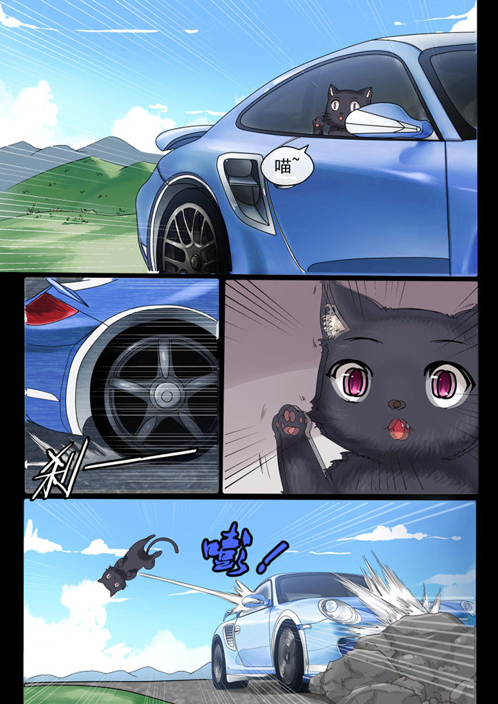 我才不是狸猫漫画,第45章：2图