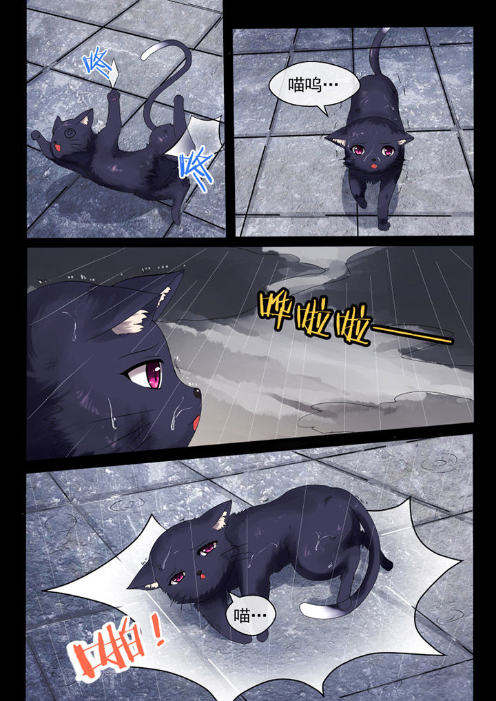 我才不是狸猫漫画,第45章：3图