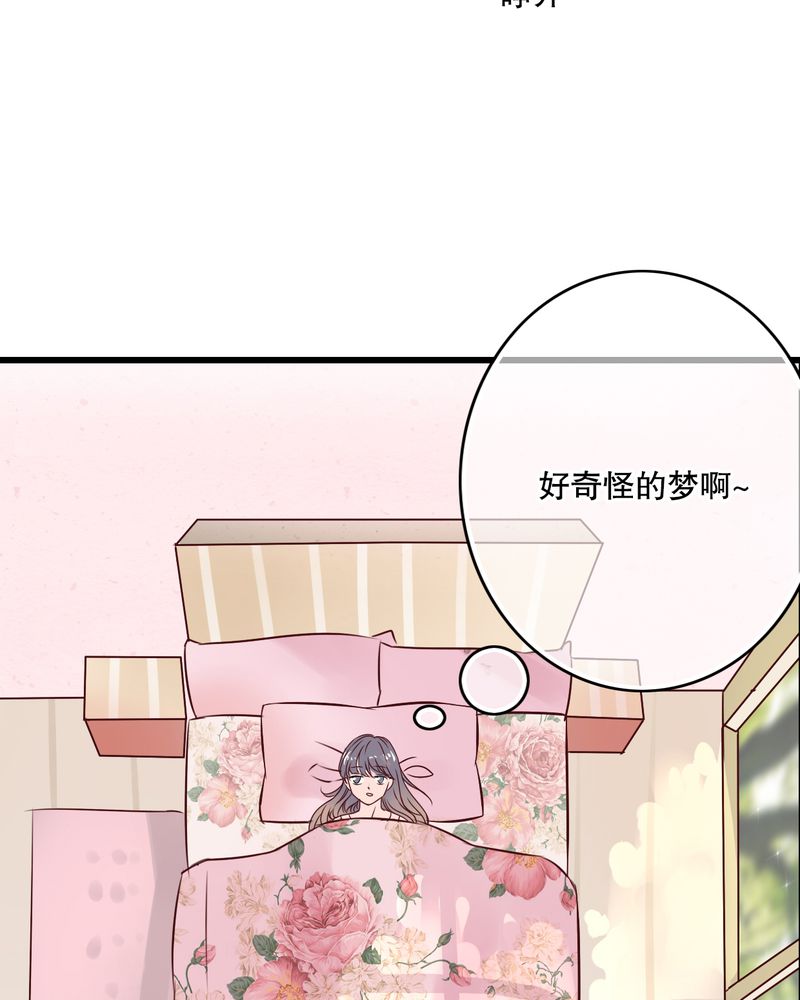 雨后的盛夏漫画,第28章：梦境2图