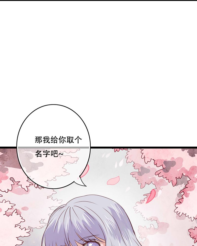 雨后的盛夏漫画,第87章：治愈系精灵5图