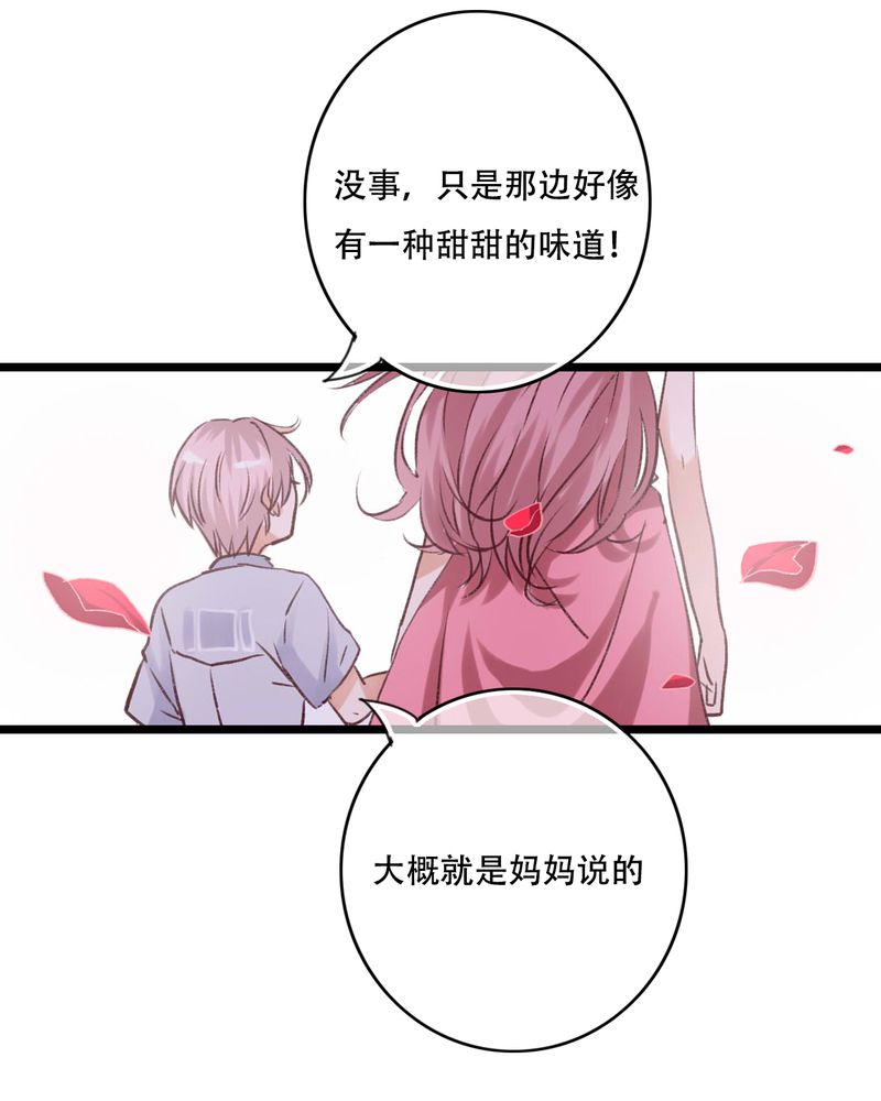 雨后的盛夏漫画,第95章：他们的婚礼3图