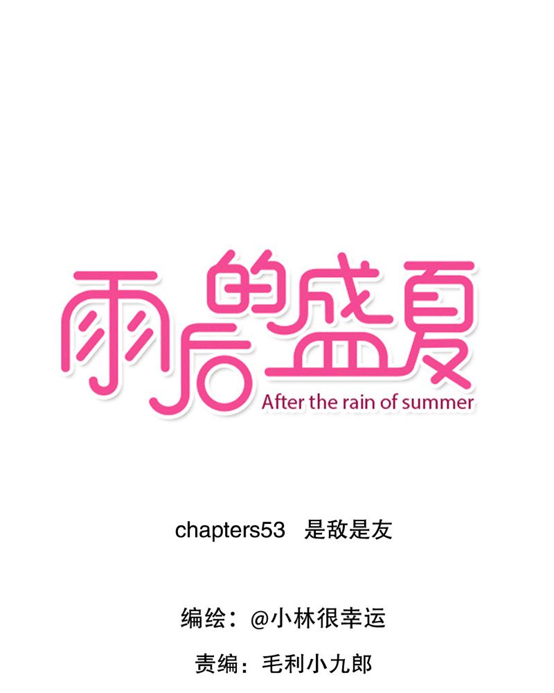 雨后的盛夏漫画,第53章：是敌是友1图