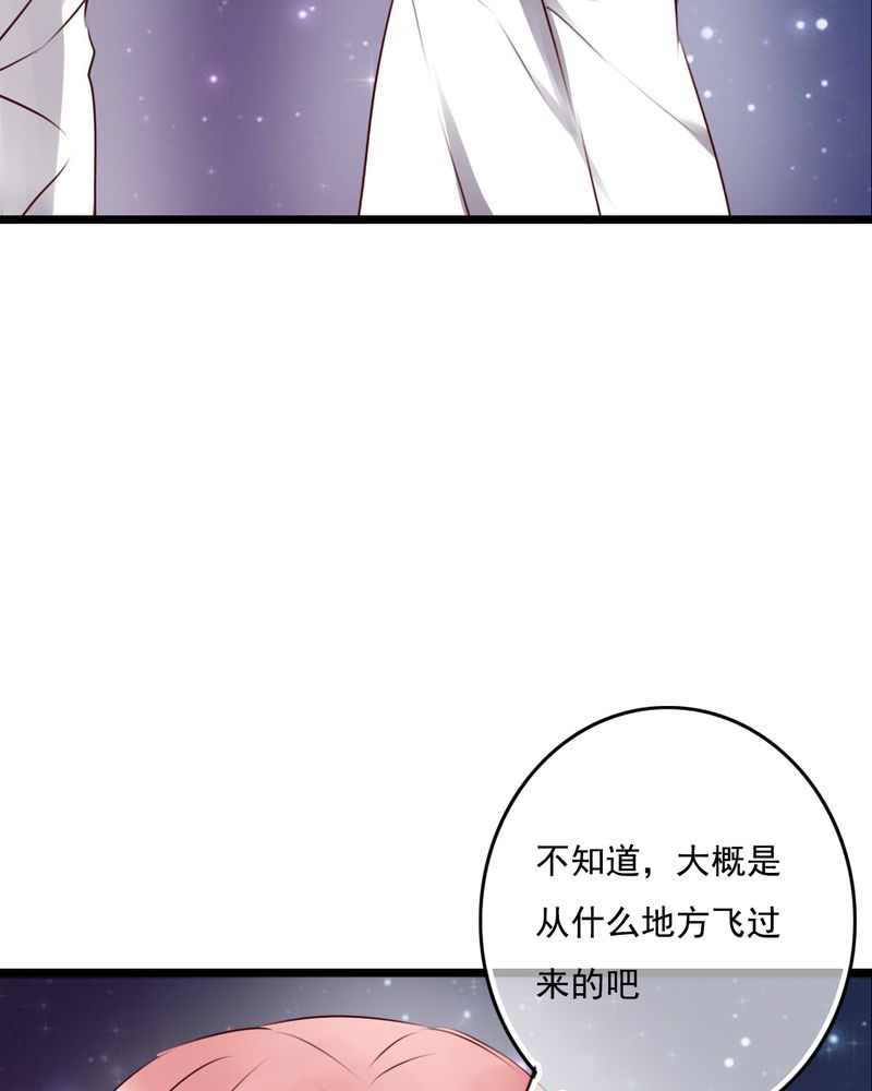 雨后的盛夏漫画,第74章：误会5图