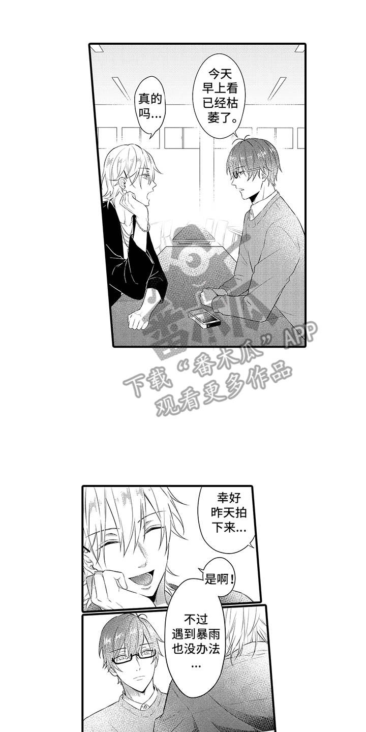 非同寻常和非比寻常有什么区别漫画,第4章：认可2图