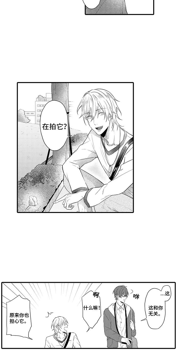 非同寻常漫画,第2章：称赞4图