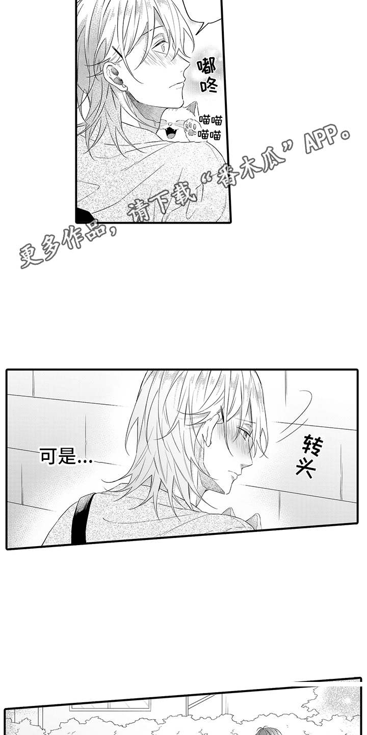 非同寻常漫画,第12章：躲雨4图