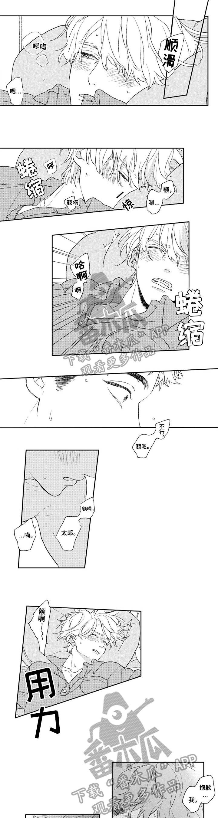 金色青春漫画,第23章：金色青春【完结】3图