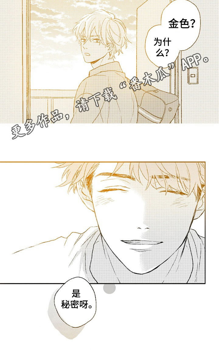 金色麦浪漫画,第23章：金色青春【完结】1图