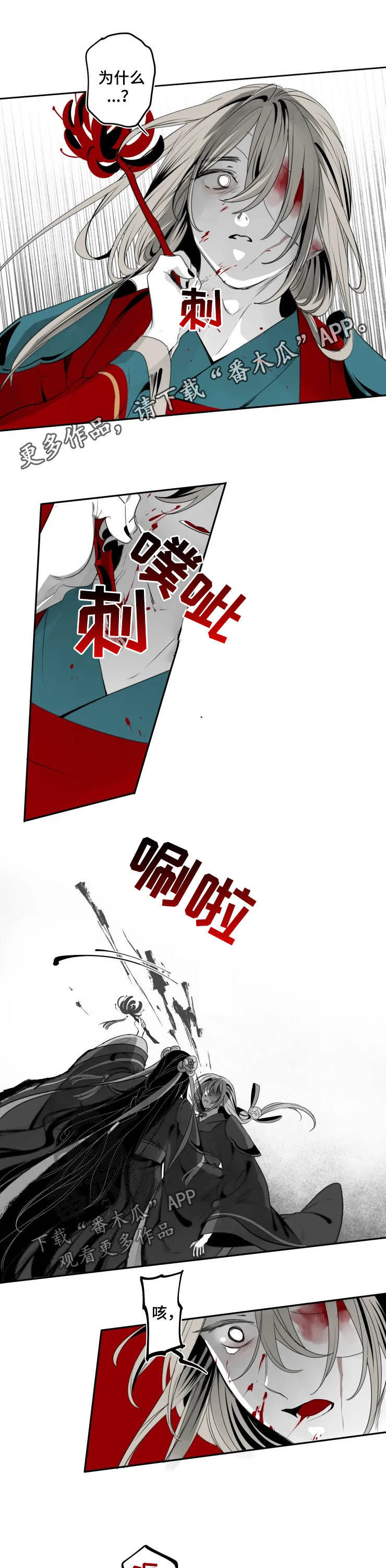 石物语漫画结局啥意思漫画,第72章：遗言1图