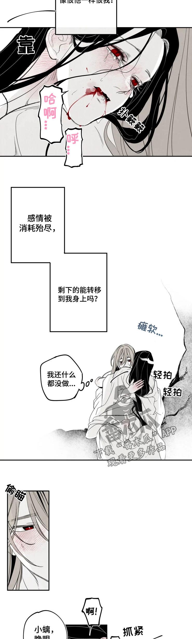 石物语免费在线观看漫画,第56章：害怕3图