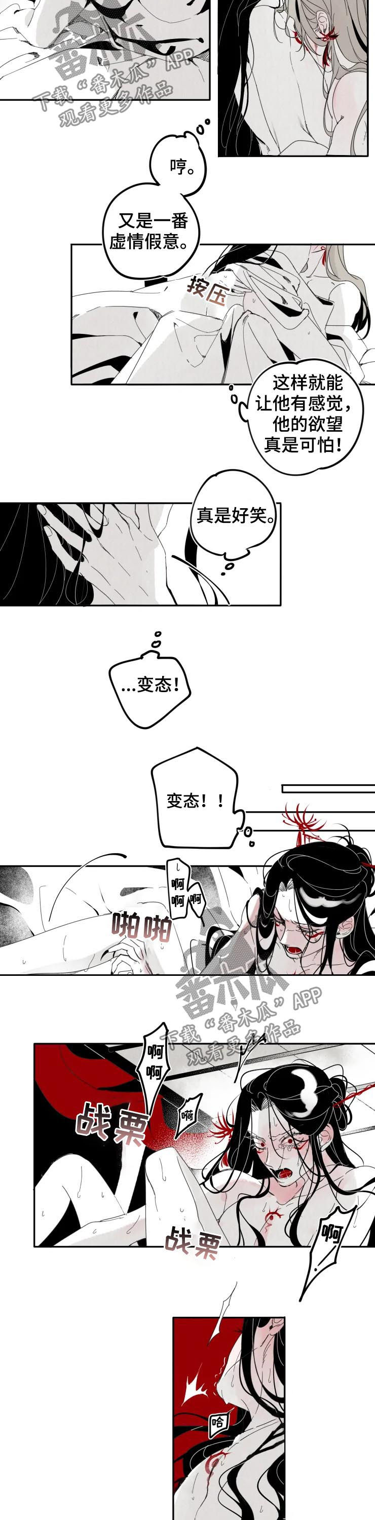 石物语漫画,第17章：婚后2图