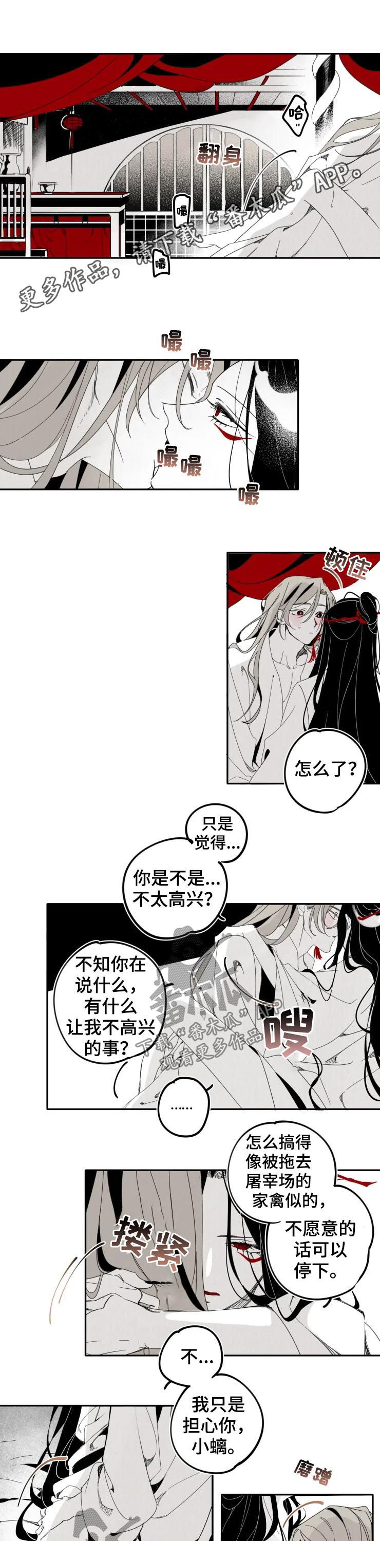 石物语漫画,第17章：婚后1图