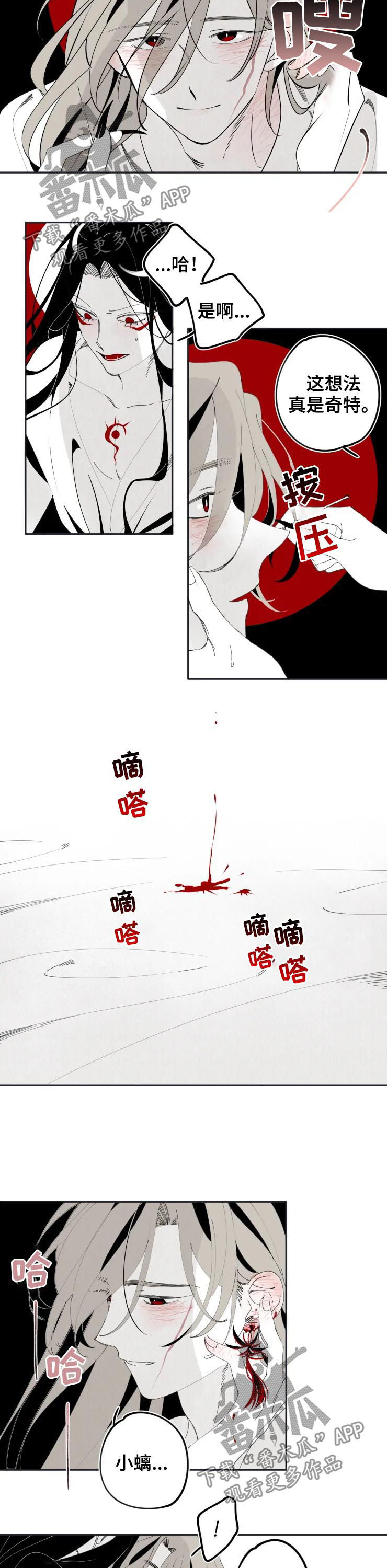 石物语漫画,第16章：完婚1图