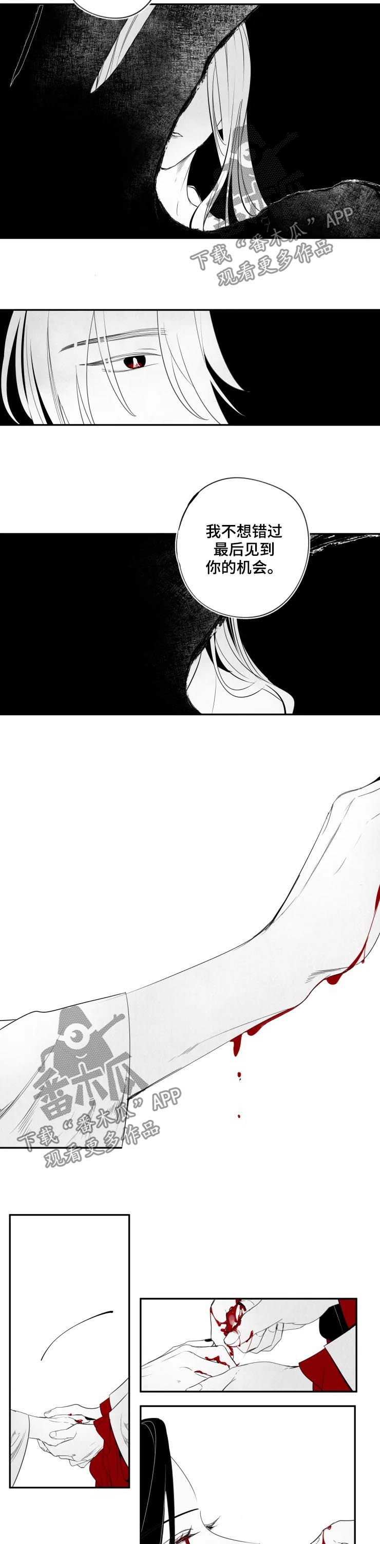 石物语游戏漫画,第67章：都会好起来1图