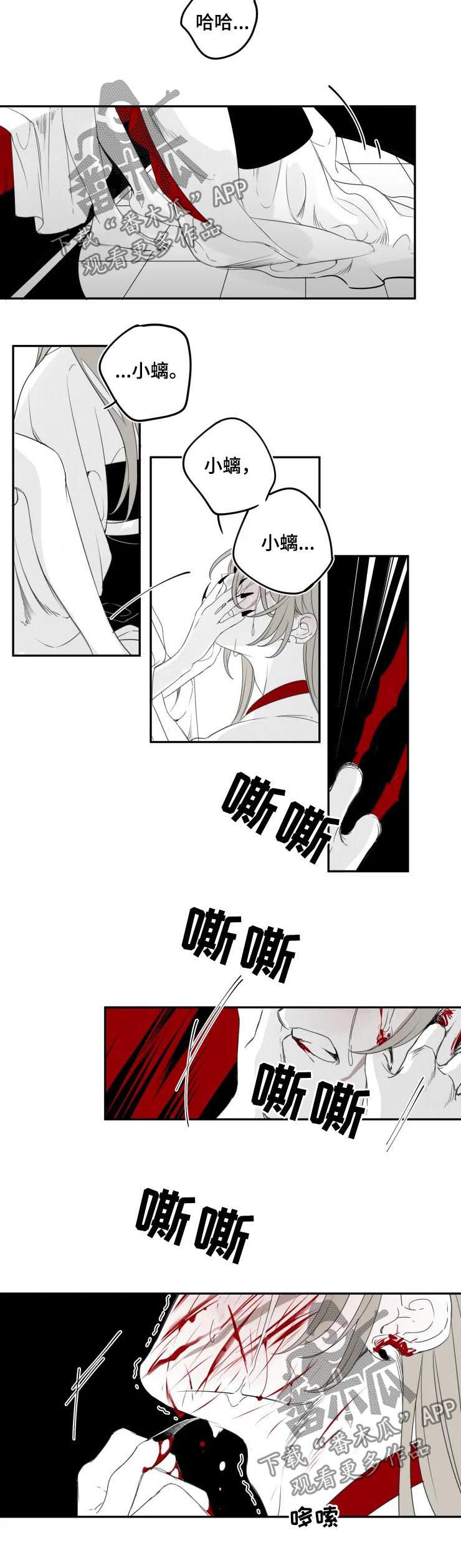 石物语免费在线观看漫画,第65章：你不是天旭4图