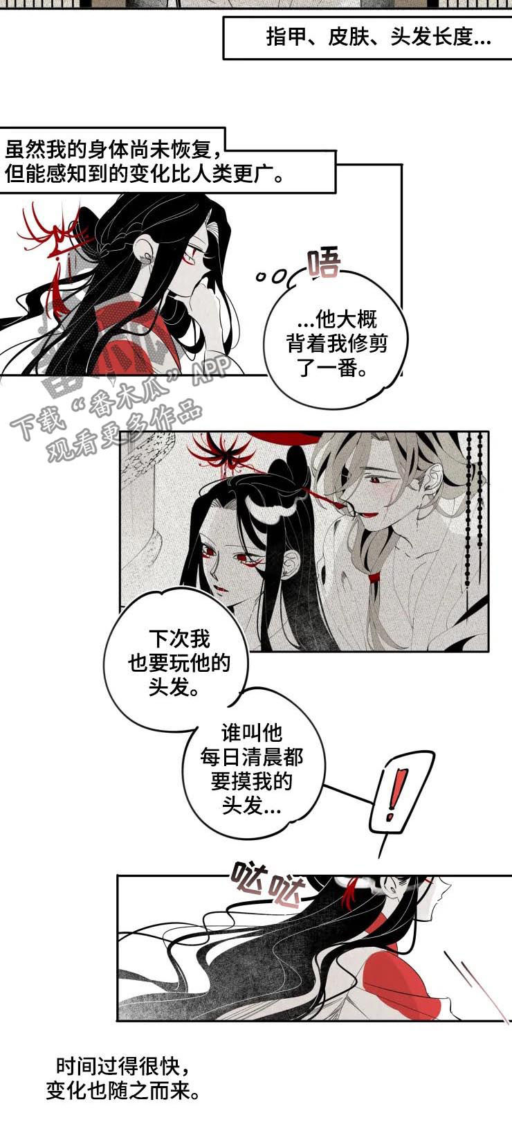 石物语漫画,第25章：变化5图