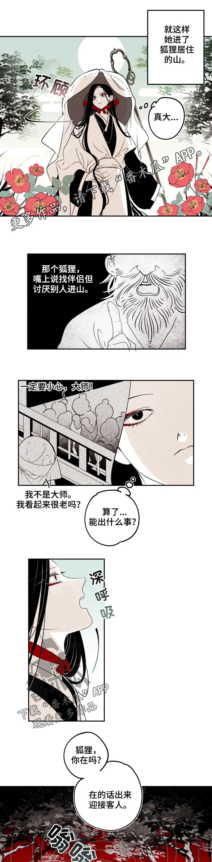 石物语漫画,第79章：【番外】进山1图