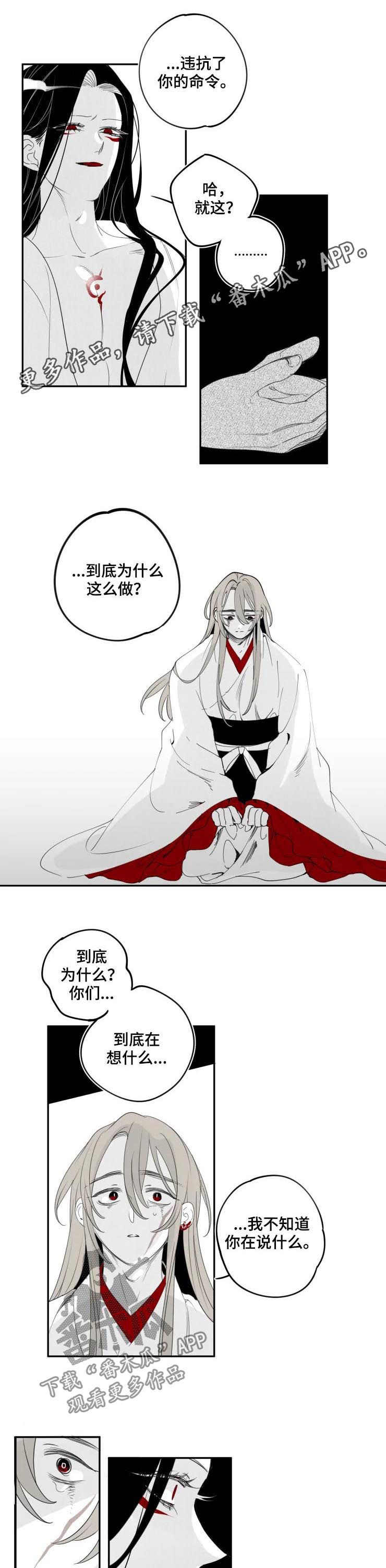 石物语免费在线观看漫画,第65章：你不是天旭1图