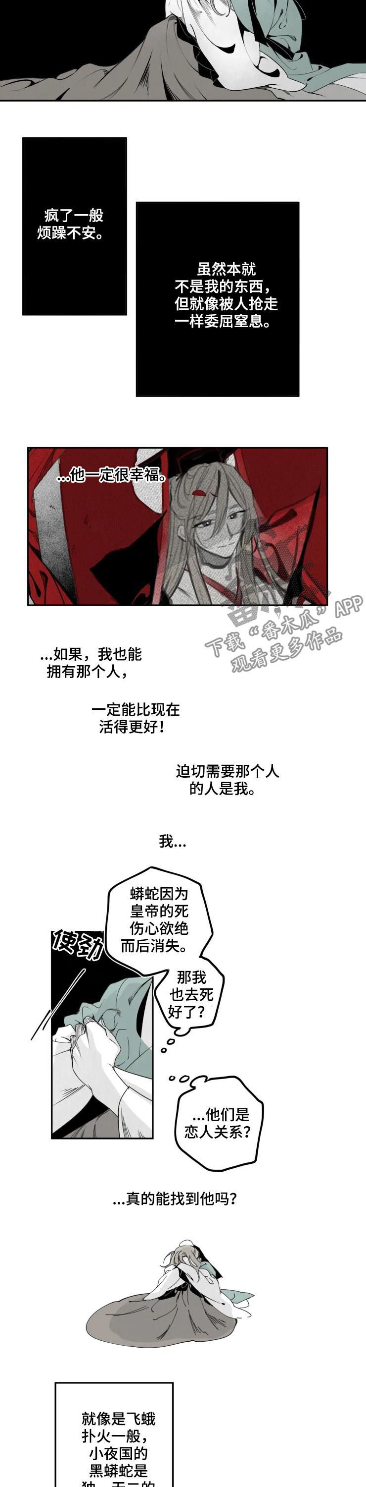 石物语漫画未删减在线阅读漫画,第43章：禁书2图