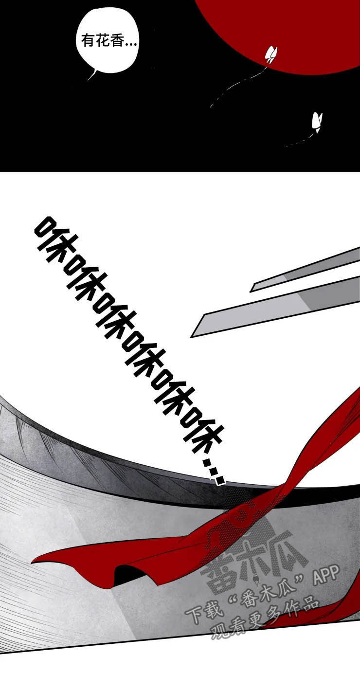 石物语大结局漫画,第75章：证明5图