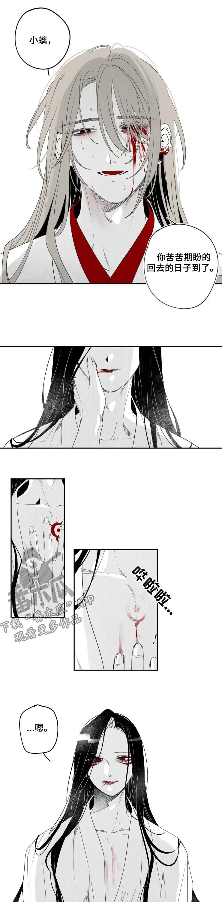 石物语游戏漫画,第67章：都会好起来3图