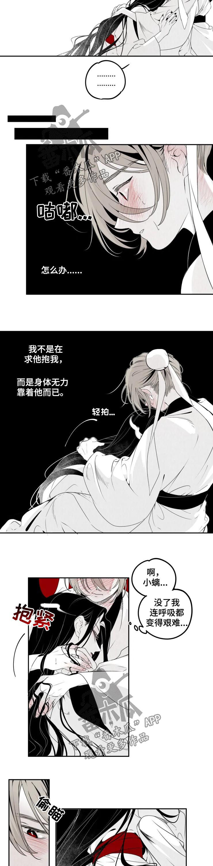 石物语漫画,第50章：晚安2图