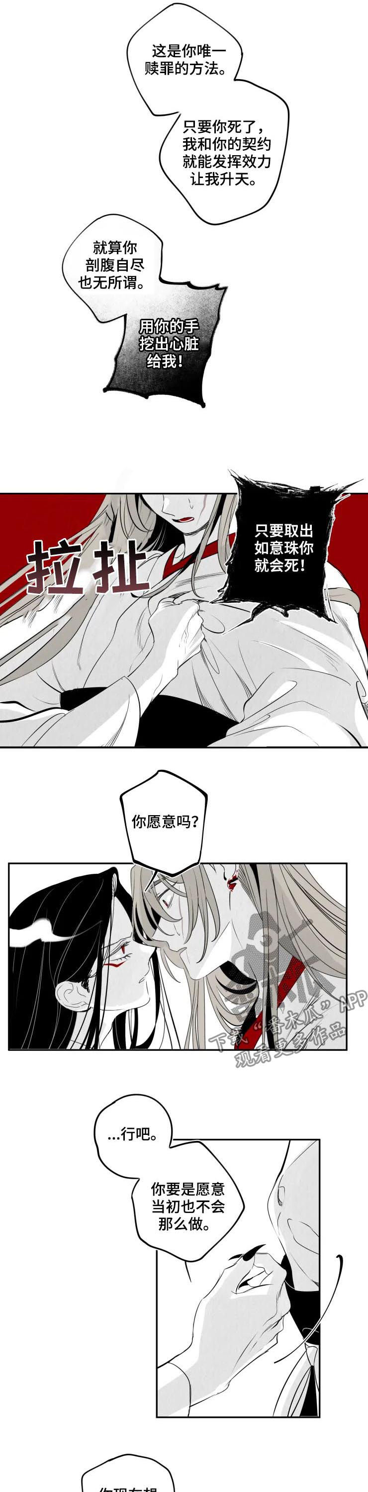 石物语漫画,第62章：只是恐惧3图
