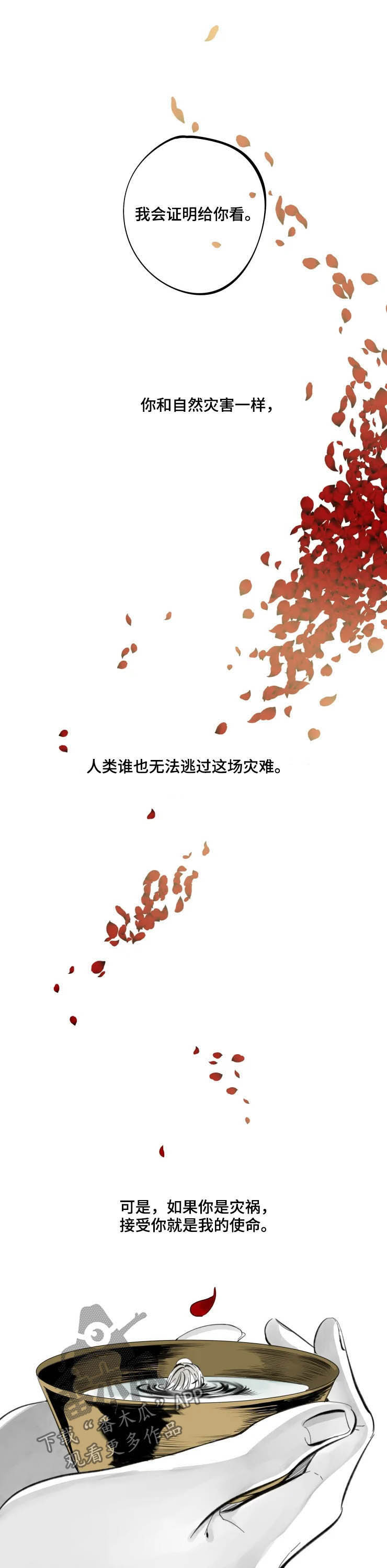 石物语漫画,第75章：证明4图