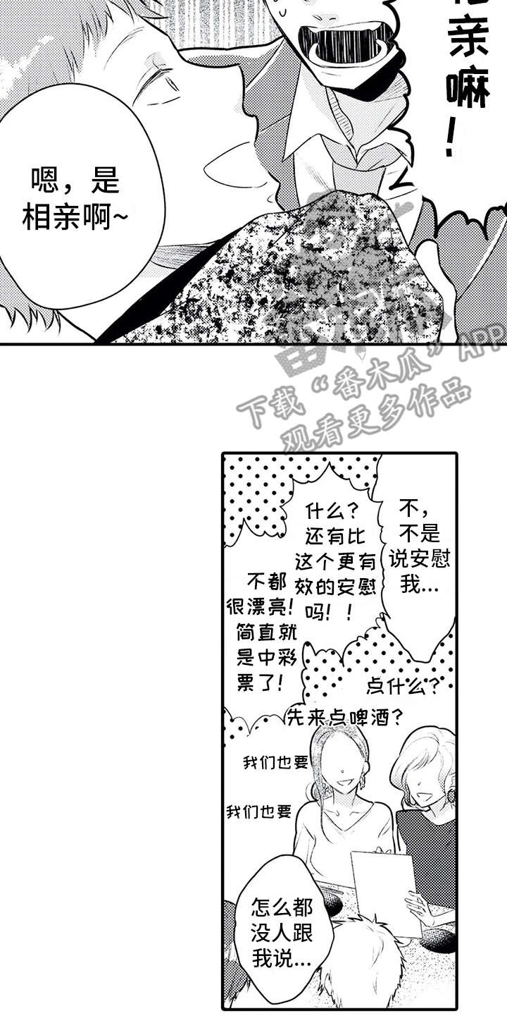如他所说漫画,第4章：相亲2图