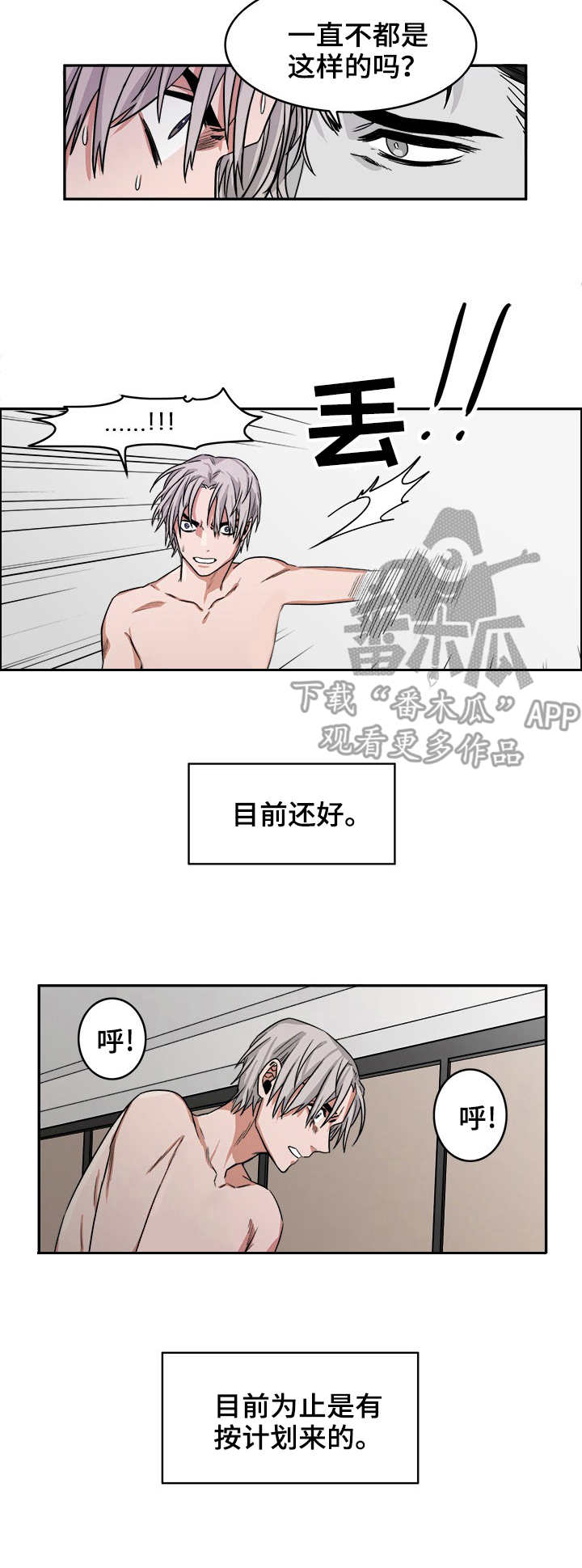 厄运北书堆和箱子位置漫画,第12章：毒蛇3图