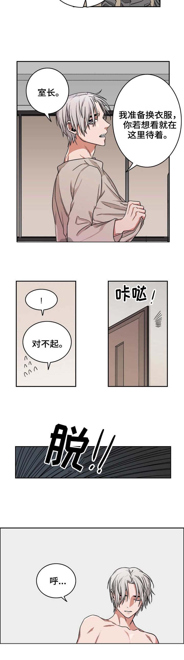 厄运北书堆和箱子位置漫画,第12章：毒蛇2图