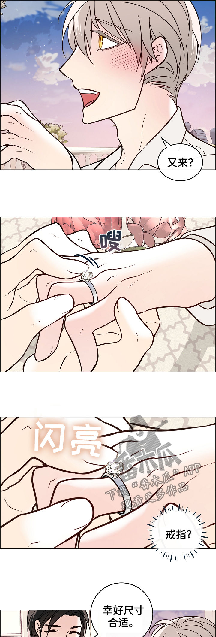 单身税漫画,第48章：戒指1图