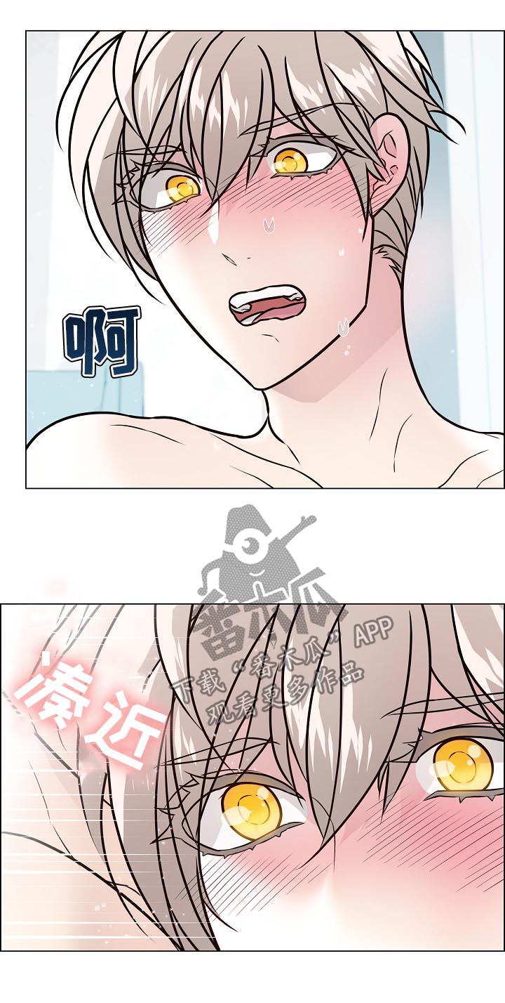 单身税漫画,第79章：你醒了2图