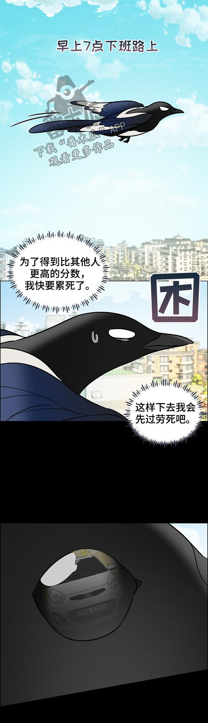 单身税漫画,第68章：照顾2图