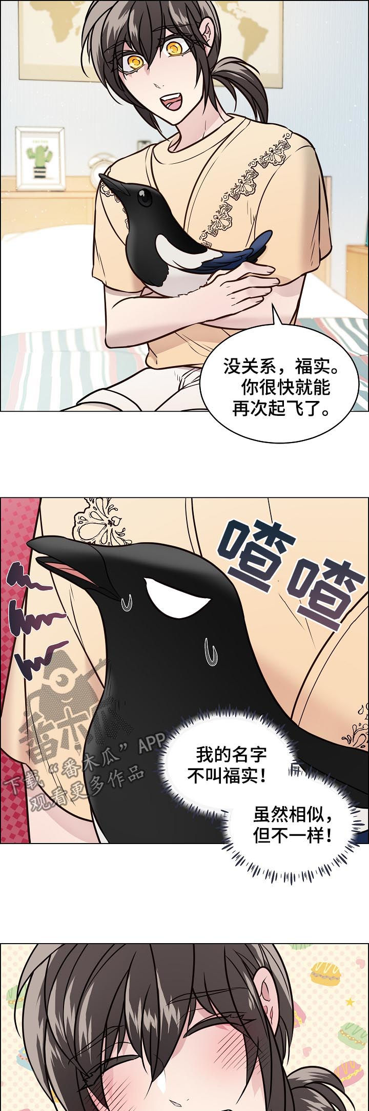 单身税漫画,第69章：安稳3图