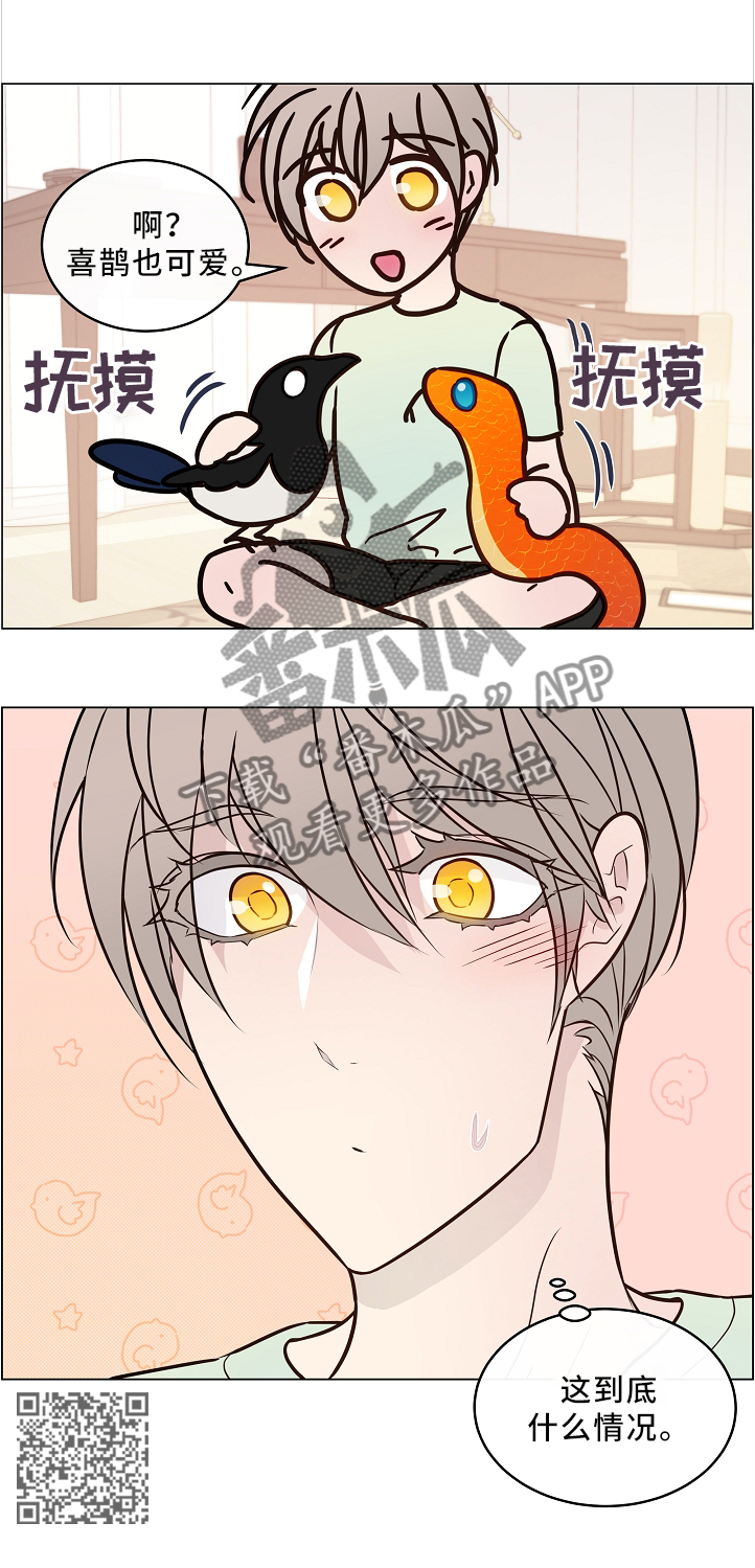 单身税漫画,第46章：两只宠物3图