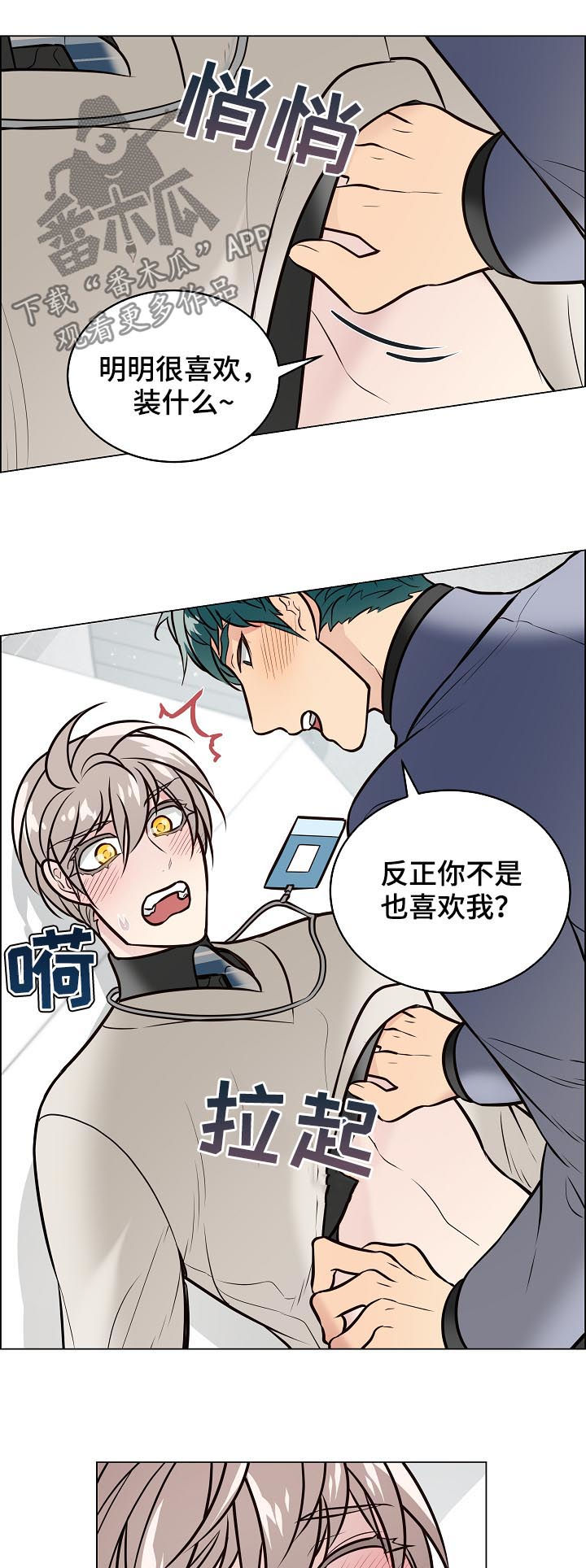 单身税漫画,第91章：金组长归来4图