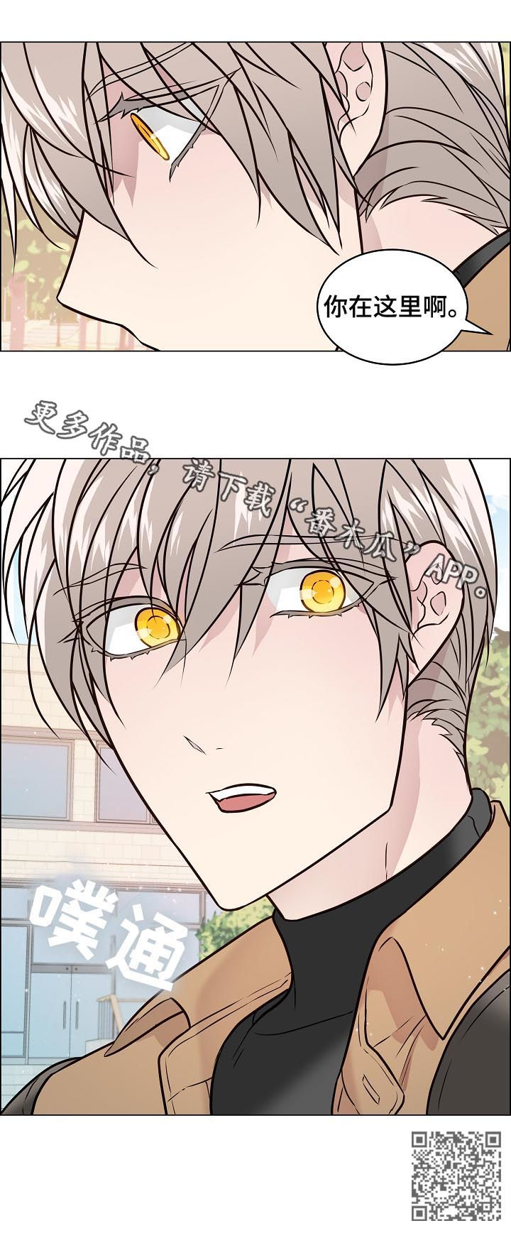 单身税漫画,第72章：搬家4图