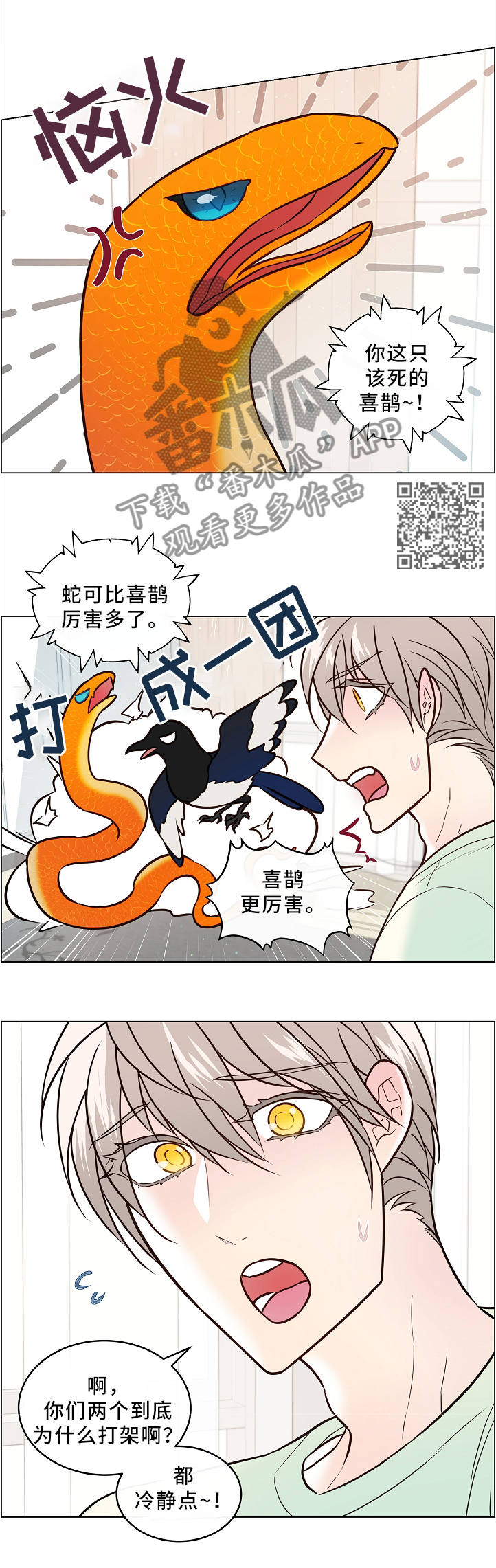 单身税漫画,第46章：两只宠物5图
