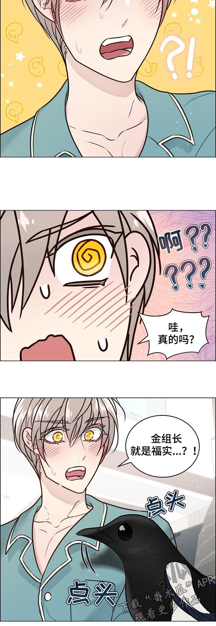 单身税漫画,第76章：相认2图