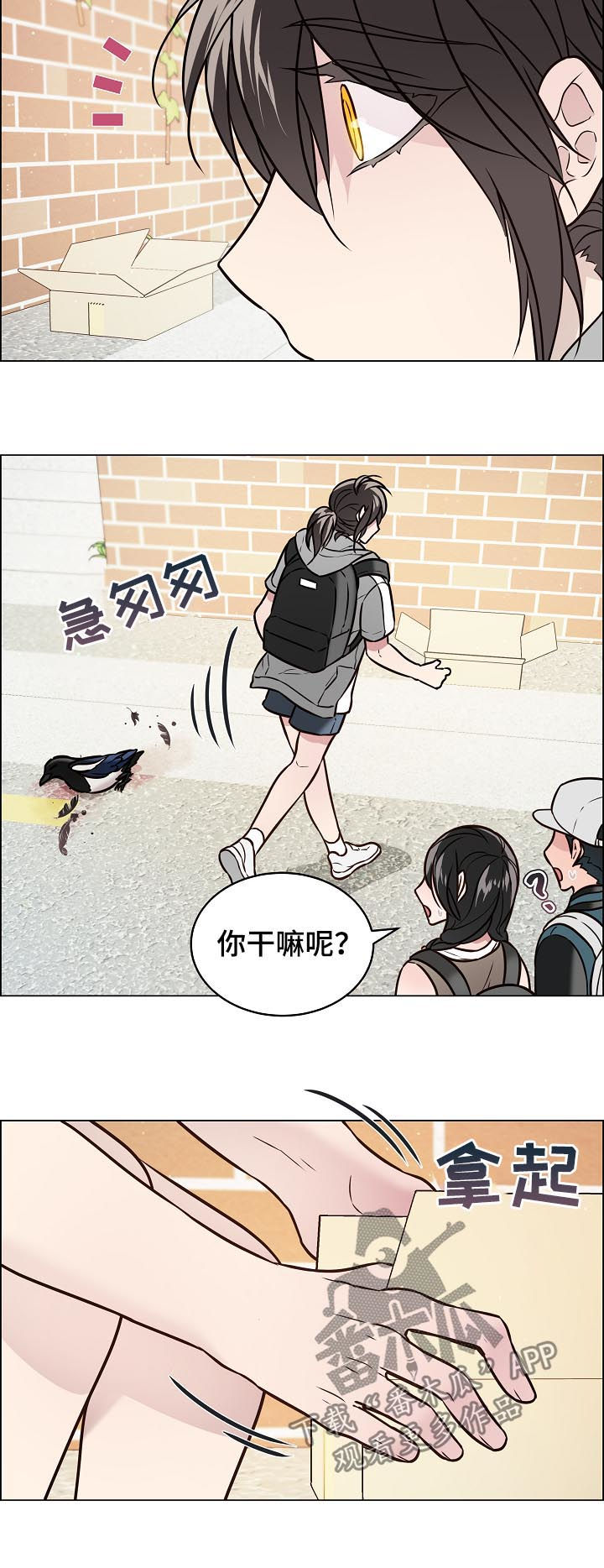 单身税漫画,第67章：交通事故1图