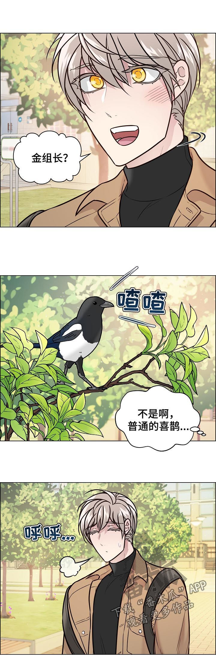单身税漫画,第72章：搬家3图