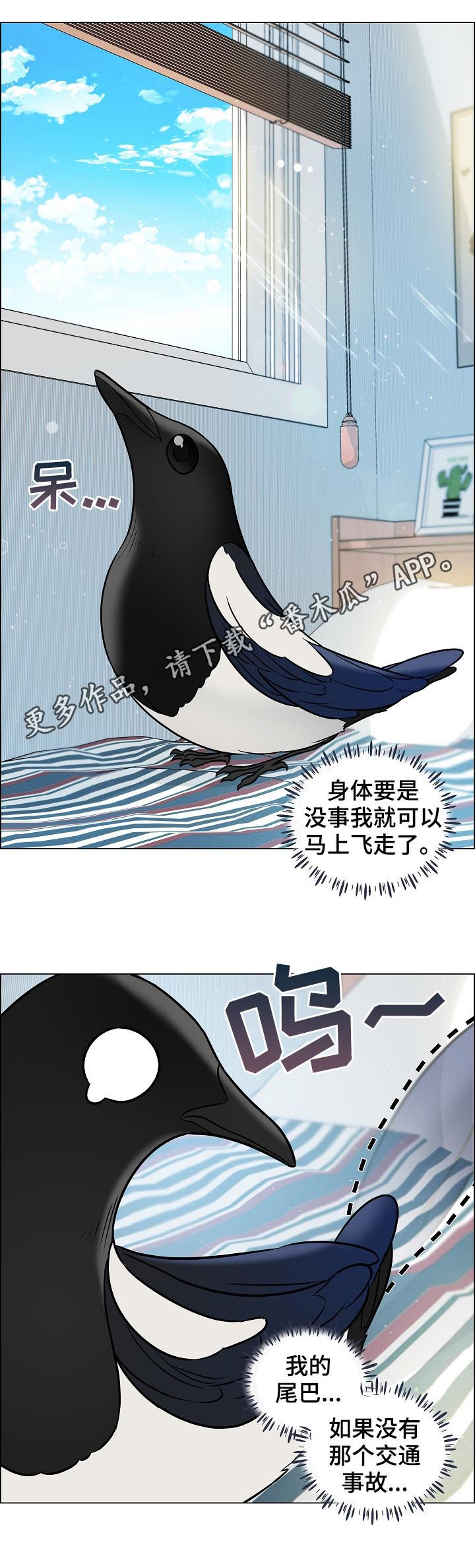 单身税漫画,第69章：安稳1图