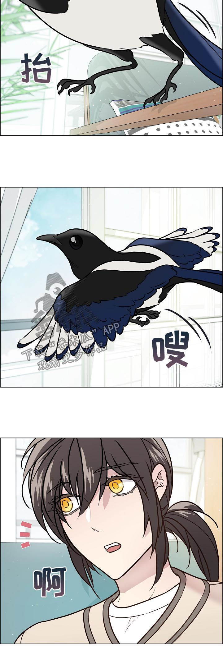 单身税漫画,第70章：离开4图