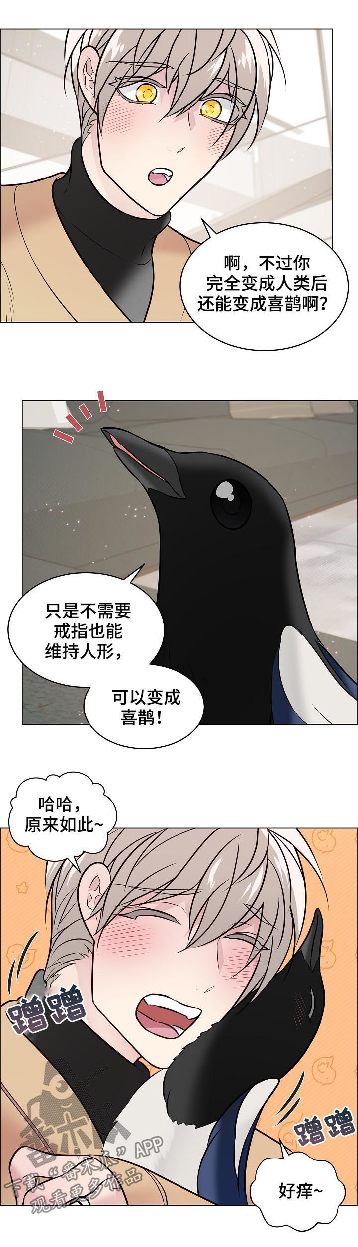 单身税漫画,第96章：一辈子都不够（完结）3图