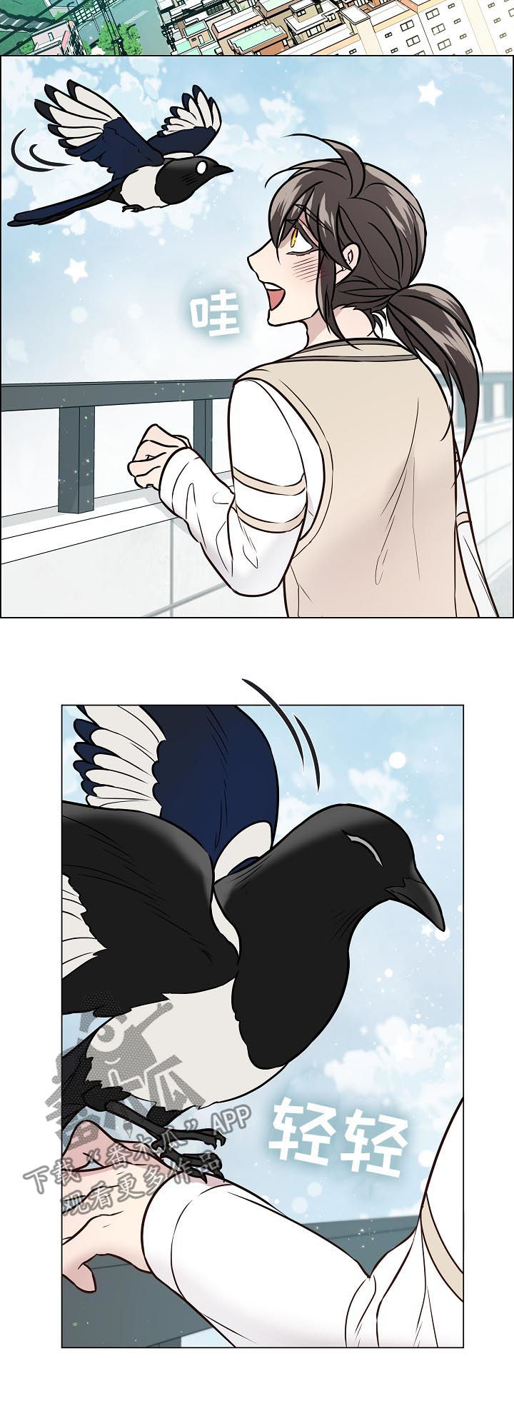 单身税漫画,第70章：离开1图