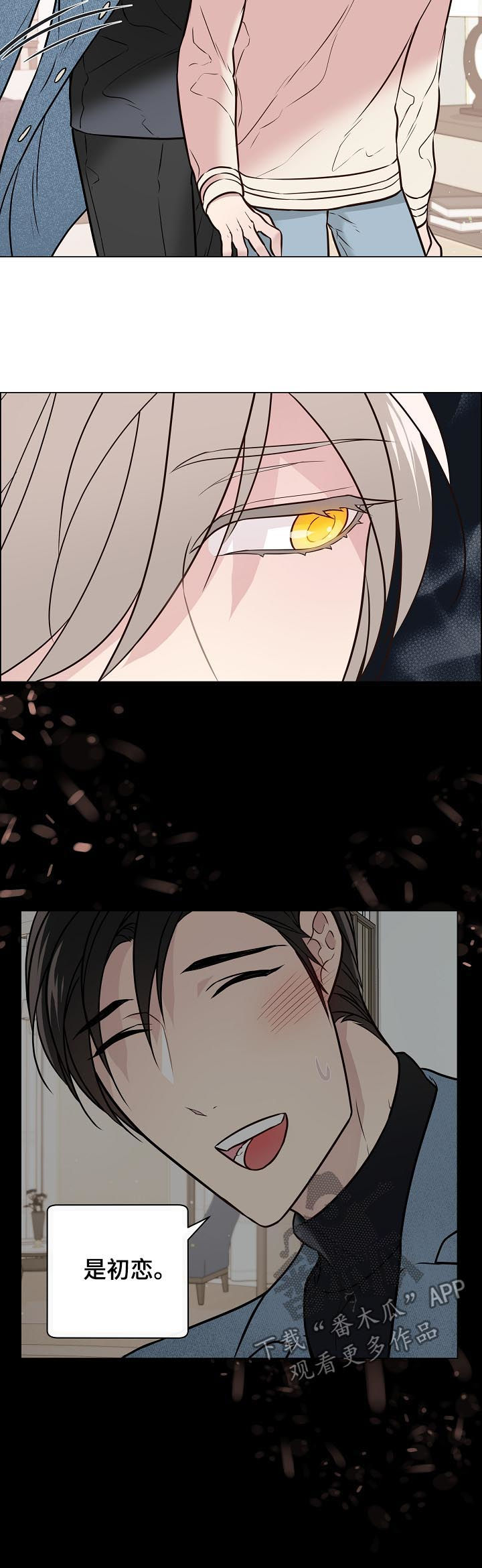 单身税漫画,第63章：不是未婚夫了2图
